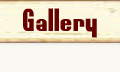 gallery, pictures and images page button
